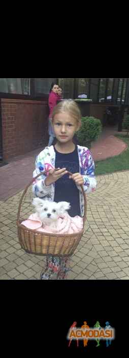 Даниана Александровна Дзюба фото №1105043. Завантажено 16 Вересня 2017