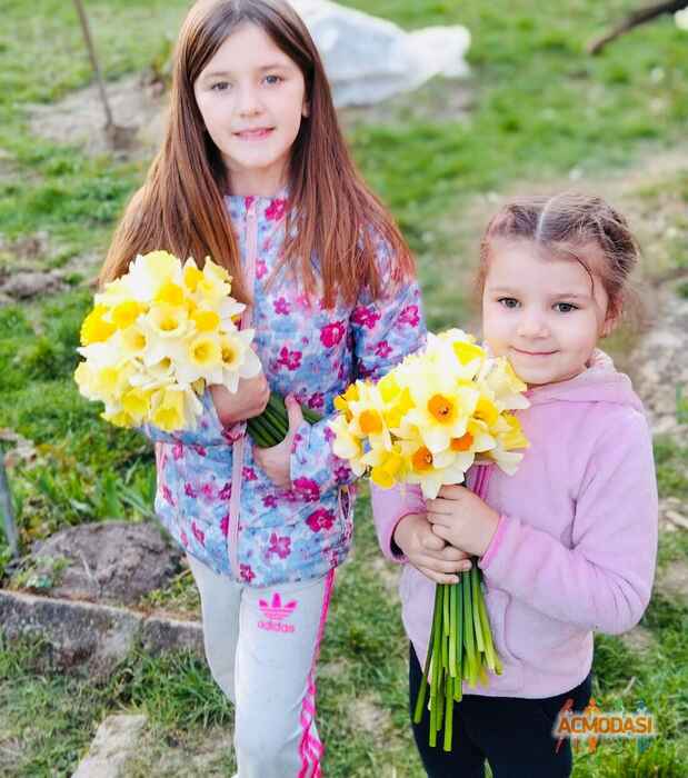 Ніколь Лукач Єдгарівна фото №1535584. Завантажено 04 Червня 2020