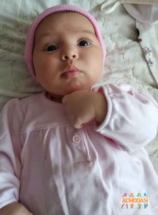 Ліка Дмитрівна Вітязь фото №1463379. Завантажено 19 Жовтня 2019