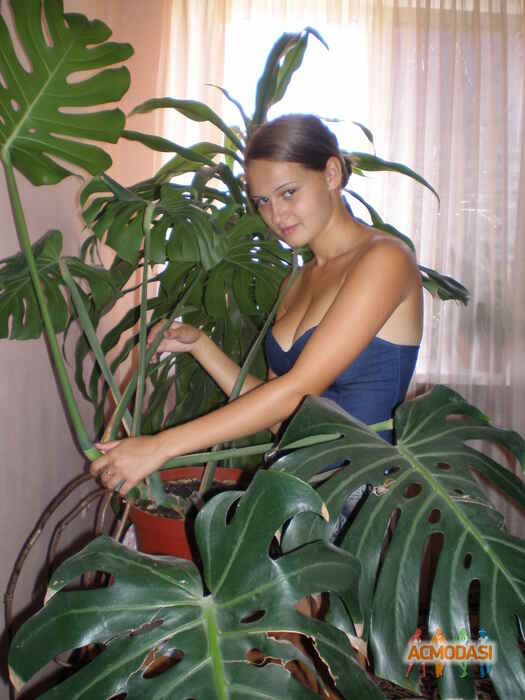 Анна Игоревна Остапенко фото №28334. Завантажено 18 Березня 2011