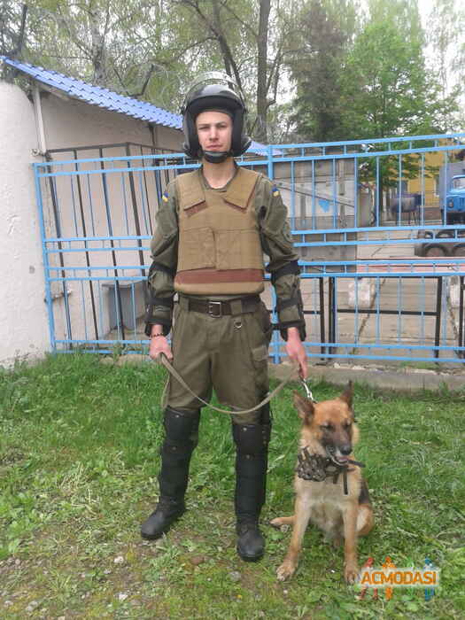Дмитрий  Александрович фото №1248040. Завантажено 22 Червня 2018