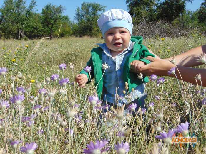 Пенкальський Арсен Ігорович фото №855479. Завантажено 27 Листопада 2015