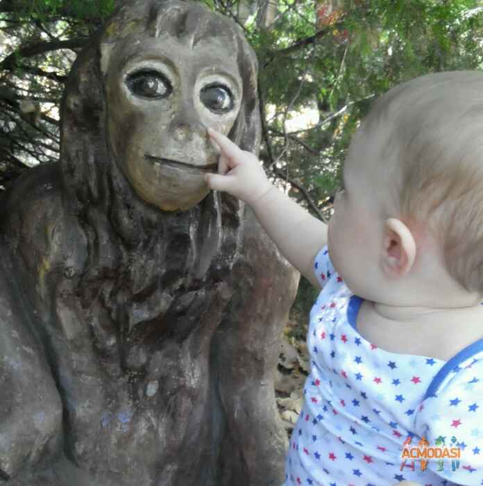 Наталья Александровна  фото №972274. Завантажено 17 Жовтня 2016