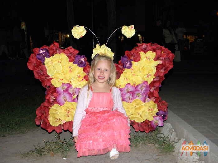 Анастасия Владимировна Ковалько фото №267291. Завантажено 08 Жовтня 2012