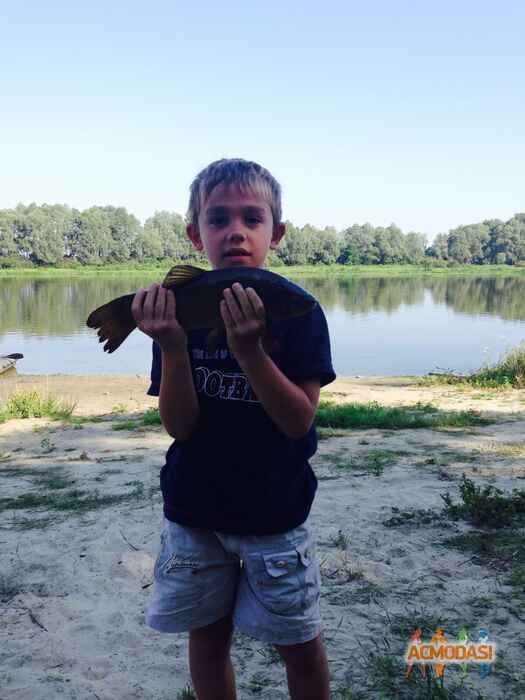 Людмила Володимирівна Чепурна фото №998638. Завантажено 17 Грудня 2016