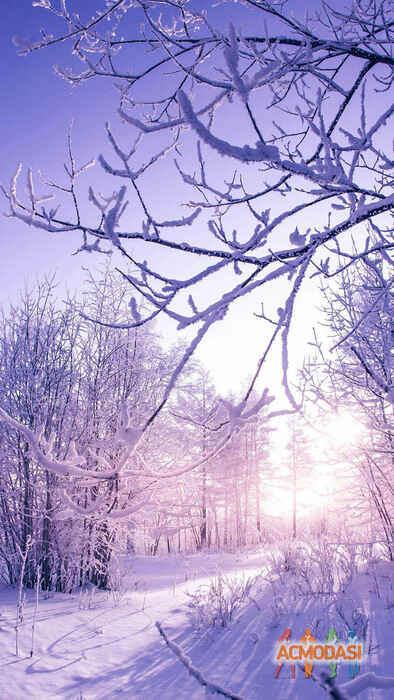 Даша  Миронова фото №1061808. Завантажено 02 Червня 2017