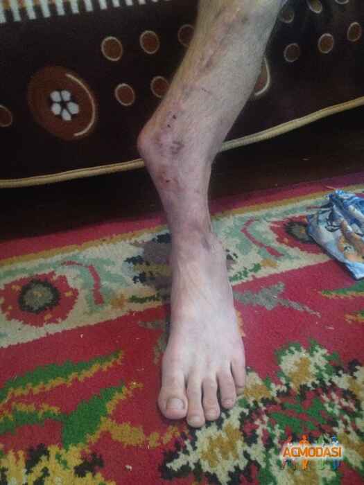 Іван Васильович Приданюк фото №1089592. Завантажено 09 Серпня 2017