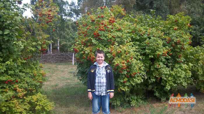 oleg  ickra фото №481404. Завантажено 30 Серпня 2013