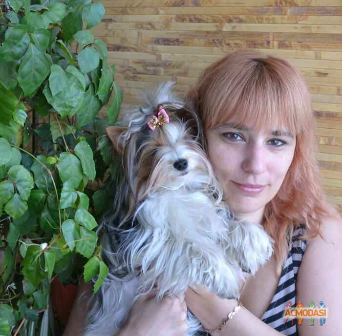 Юлия  Владимировна фото №489212. Завантажено 11 Вересня 2013