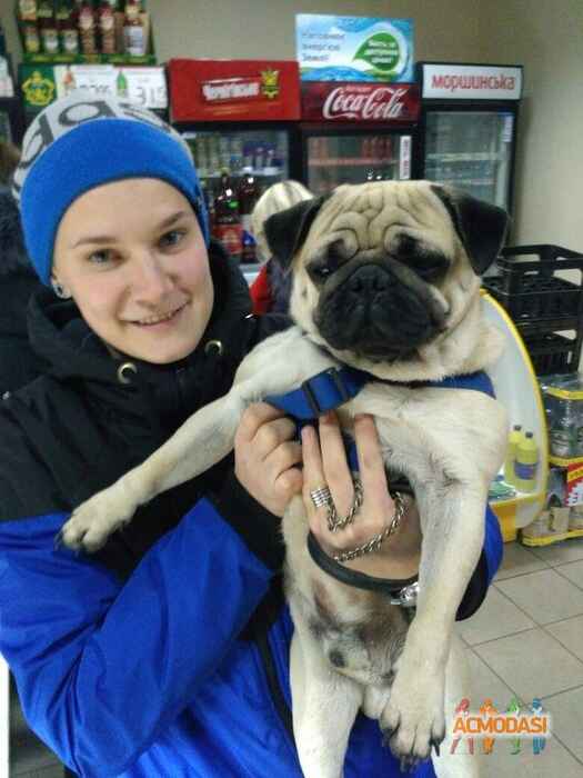 Анна Станиславовна Маковская фото №979629. Завантажено 02 Листопада 2016