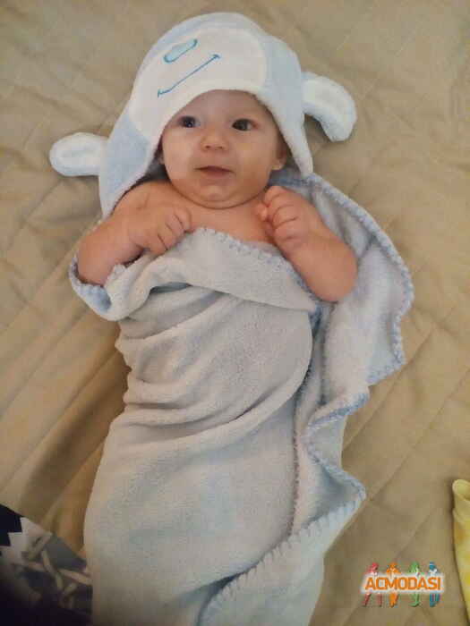 Марко Романович Рогочий фото №1442524. Завантажено 31 Серпня 2019