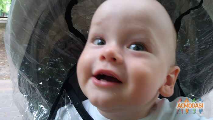 Міша   фото №1085994. Завантажено 01 Серпня 2017