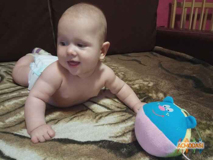 Давид Григорьевич Воронов фото №1080272. Завантажено 18 Липня 2017