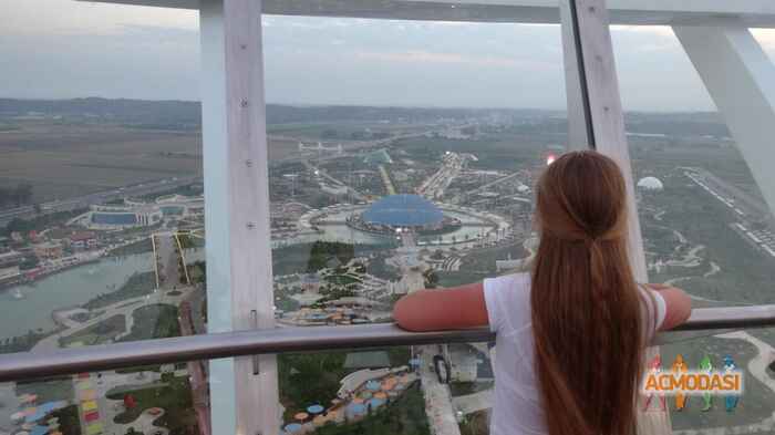 Поліна Сергіївна Сокур фото №1028191. Завантажено 05 Березня 2017