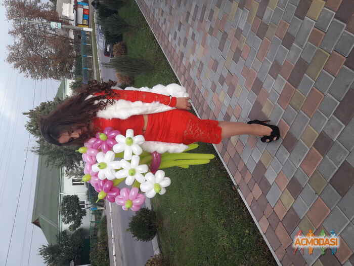 Анна Олегівна Шестопал фото №1118120. Завантажено 14 Жовтня 2017