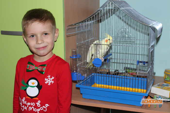 Елена Сергеевна  фото №1096649. Завантажено 27 Серпня 2017