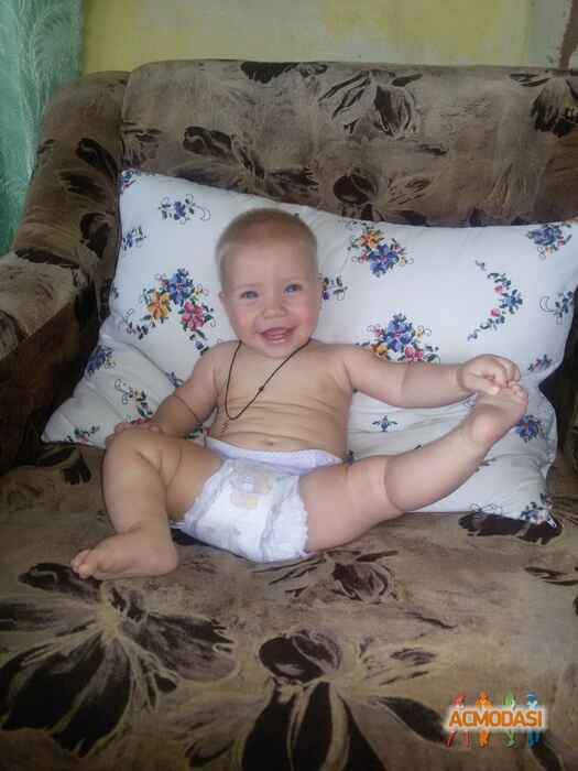 Давид Анатольевич Берёза фото №1140618. Завантажено 21 Листопада 2017