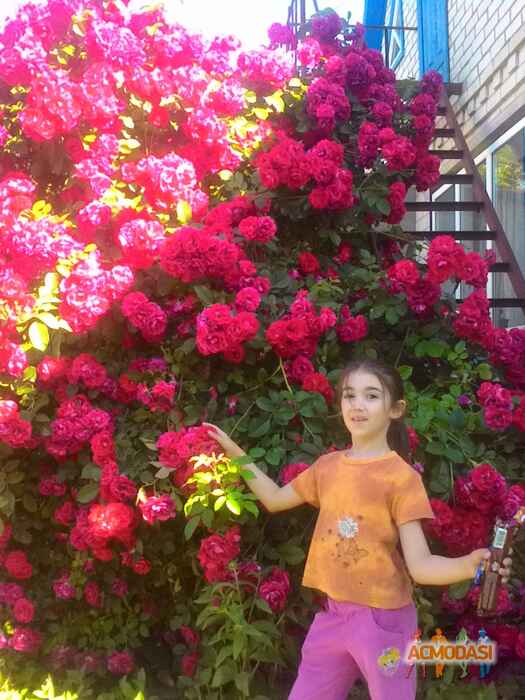 Маргарита Александровна Маринич фото №1169831. Завантажено 21 Січня 2018