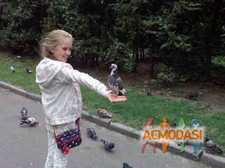 Ярина Николаевна Золотухина фото №1191522. Завантажено 20 Лютого 2018