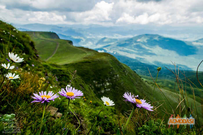 Дмитро  Буднік фото №1088474. Завантажено 07 Серпня 2017