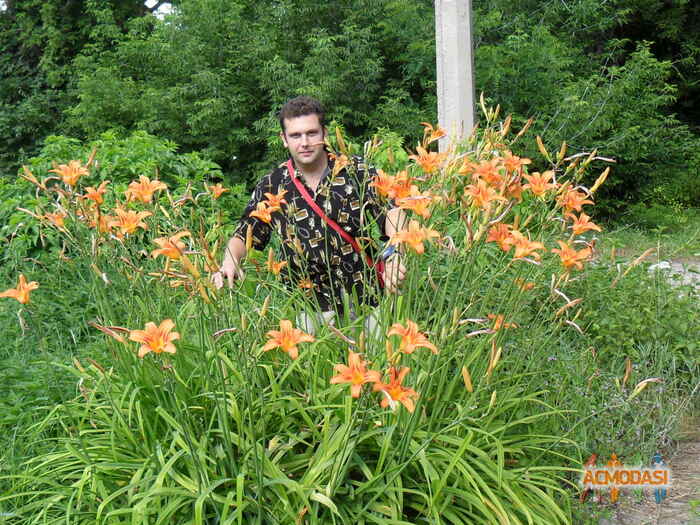 Сергей   фото №1098387. Завантажено 01 Вересня 2017