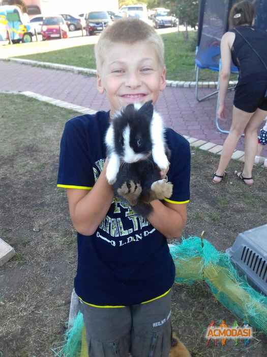 Савелий Сергеевич Евдокимов фото №1010733. Завантажено 23 Січня 2017