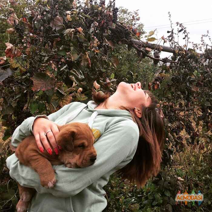 Галина Степанівна Кривохижа фото №1194753. Завантажено 25 Лютого 2018