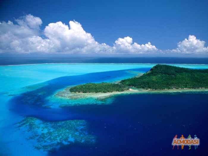 стмат  авирви фото №166860. Завантажено 17 Березня 2012