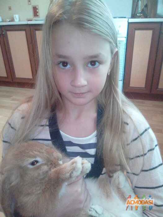 Шутка Марія Дмитрівна фото №983074. Завантажено 10 Листопада 2016