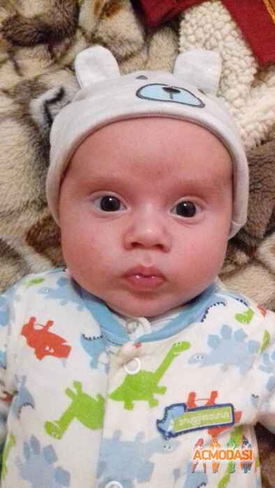 Максим Сергійович Штойко фото №1180662. Завантажено 06 Лютого 2018