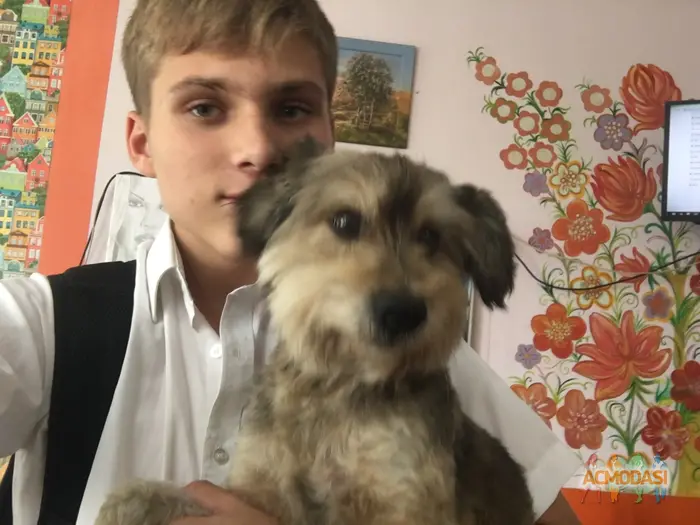 Олександр  Зубков фото №1717545. Завантажено 09 Жовтня 2023