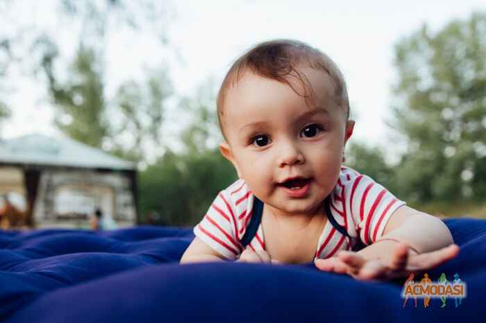 Мілош Хосейнович Мірзаголі фото №1096366. Завантажено 27 Серпня 2017