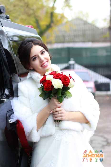 Анна Миколаївна Линник фото №1328196. Завантажено 26 Листопада 2018