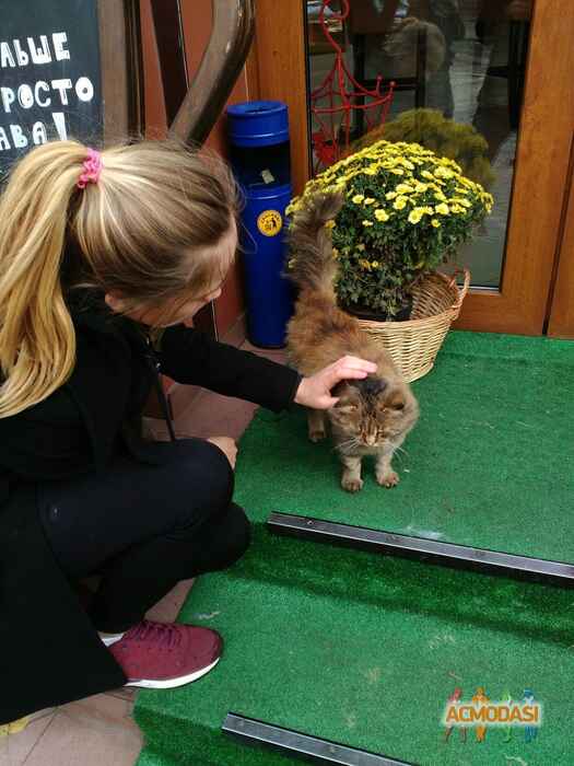 Віолетта Сергіївна Поліченко фото №1126375. Завантажено 29 Жовтня 2017