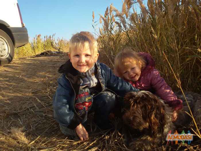 Олег Вячеславович Кушниров фото №1036494. Завантажено 27 Березня 2017