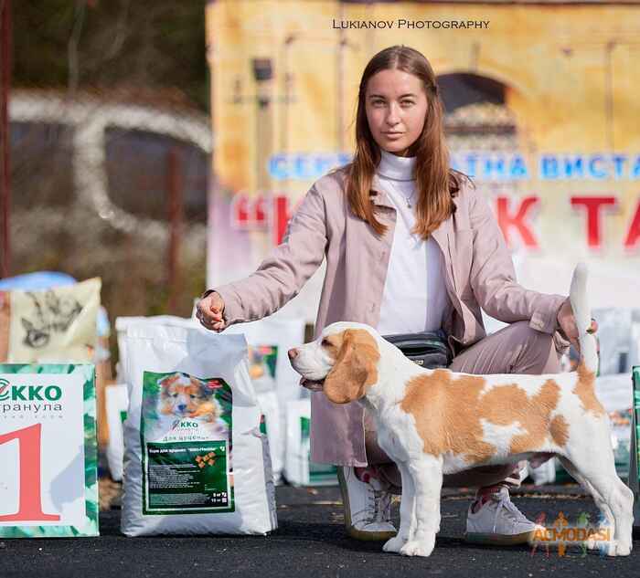 Влада Русланівна Алейнікова фото №1614347. Завантажено 14 Березня 2021