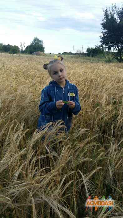 Тамара Витальевна Поліщук фото №1097448. Завантажено 29 Серпня 2017