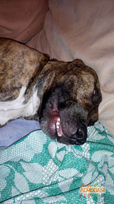 Наталия  Сидорская фото №1006604. Завантажено 13 Січня 2017