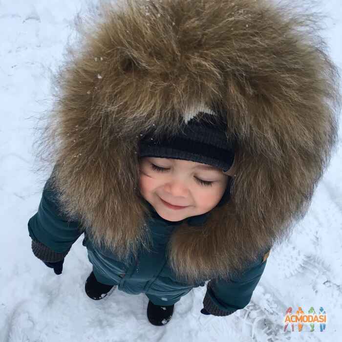 Людмила Михайлівна Корпанюк фото №1147476. Завантажено 03 Грудня 2017