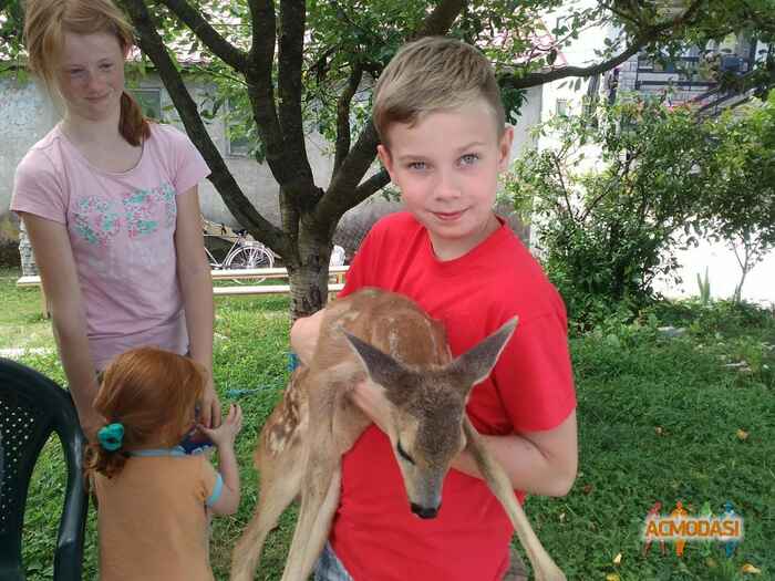 Iлья Iгорович Макаров фото №932127. Завантажено 14 Липня 2016