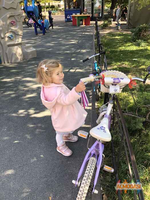 Аліса Олександрівна Морач фото №1481681. Завантажено 29 Листопада 2019