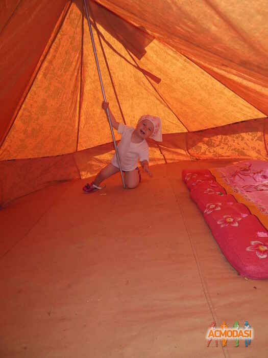 Ангеліна Володимирівна Гривнак фото №1152061. Завантажено 12 Грудня 2017