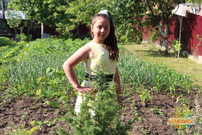 Вікторія Ігорівна Мартинюк фото №1162546. Завантажено 10 Січня 2018