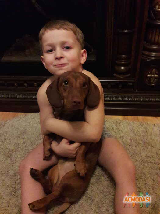 Ганна Зигмундівна Цимбал фото №1031601. Завантажено 14 Березня 2017