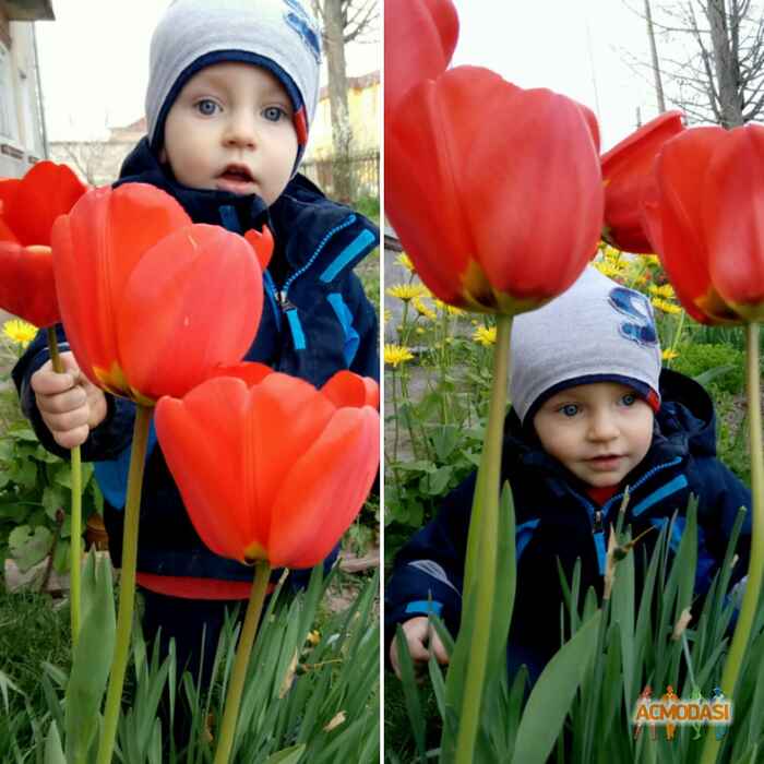 Iryna  Bilinchuk фото №1059420. Завантажено 28 Травня 2017