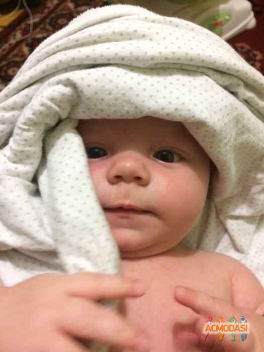 Ярослав Миколайович Рiзниченко фото №1067048. Завантажено 16 Червня 2017