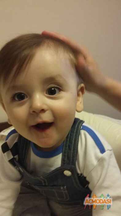 Маркія Захарович Король фото №1053124. Завантажено 12 Травня 2017