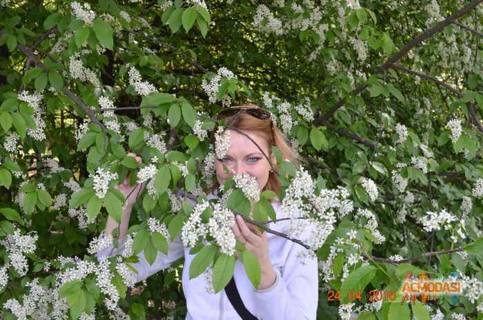 Оксана  Савчук фото №1063112. Завантажено 06 Червня 2017