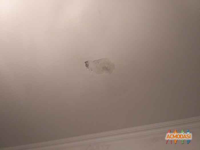 Марина Вiкторiвна Деньгуб фото №1155244. Завантажено 21 Грудня 2017