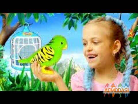 Виктор   фото №1404863. Завантажено 29 Травня 2019